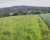 Działka w Lipnicy Dolnej - malownicze miejsce | Zdjęcie 13