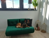 2pok, 35met, Okolice Jana III Sobieskiego WINDA (Wrocław) | Zdjęcie 2