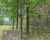 Działka budowlana (6000 m2) okolice Twardogóry JEZIORO/LAS | Zdjęcie 11