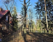 Rezydencja z potencjałem komercyjnym | rzeka | las | Zdjęcie 8