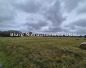 sprzedam działkę rolną | Zdjęcie 7