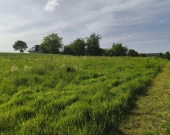 Lipnica Dolna-malownicze miejsce z potencjałem inwestycyjnym | Zdjęcie 5