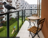 Krowodrza/Wrocławska 2 Pokoje + Balkon | Zdjęcie 6