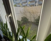 2pok, 46met, okolice Tarnogajskiej TARAS/OGRÓD/2013 (Wrocław) | Zdjęcie 11