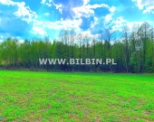 Działka z linią brzegową do jeziora Boczniel ! | Zdjęcie 8