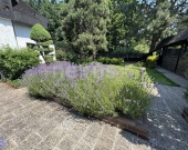 Ustronna Willa z basenem w środku miasta | Zdjęcie 9