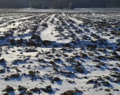 Pawłów Trzebnicki  1,5 Ha | produkcyjno-usługowa | Zdjęcie 3