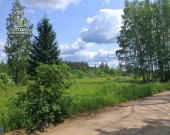 Działka produkcyjno usługowa Karakule | Zdjęcie 3