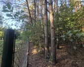 wz na 5 domów, prywatny las, lokalizacja | Zdjęcie 9