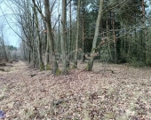 Atrakcyjny teren do zabudowy mieszkalnej | Zdjęcie 2