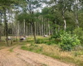 Działki budowlane w Klotyldzinie | Zdjęcie 2