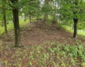 Działka budowlana (6000 m2) okolice Twardogóry JEZIORO/LAS | Zdjęcie 4
