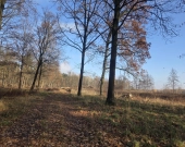 pod produkcję, magazyny lub usługi | Zdjęcie 3