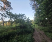 Piękna okolica, MPZP, woda i prąd | Zdjęcie 4