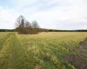 Malownicza działka 1,22 ha przy lesie – Radawie | Zdjęcie 9