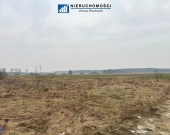 działka budowlana 15ar, Parchów/Polkowice | Zdjęcie 3