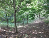 Działka budowlana z częścią pod rekreacje | Zdjęcie 3