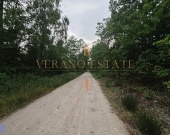 DZIAŁKA ROLNA/INWESTYCYJNA| 6,58HA |BLISKO JEZIORA | Zdjęcie 5