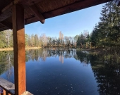 Rezydencja z potencjałem komercyjnym | rzeka | las | Zdjęcie 1