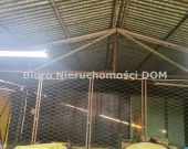 tania hala blaszana do wynajęcia | Zdjęcie 1