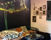 2pok, 41met, Okolice Parku Tołpy ANTRESOLA/PIWNICA (Wrocław) | Zdjęcie 6