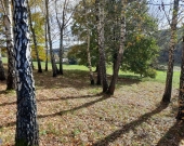 Piękny Dom Z widokiem Na Las | Zdjęcie 7