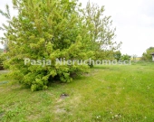 Dom w Żukowie-Wawrzonki | Zdjęcie 5