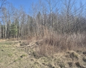 z prywatnym lasem, za działką też stare lasy | Zdjęcie 1