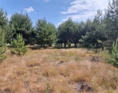 TYLKO U NAS| Kaszowo 7700 mkw | Dolina Baryczy | Zdjęcie 4