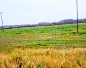 Duże działki rolne z potencjałem bud. po ok. 8000m | Zdjęcie 1