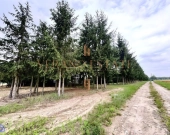 Malownicza działka w otoczeniu zieleni | MPZP | Zdjęcie 2