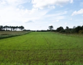 Działki inwest 1,6 km do Zatoka Pucka Hel | Zdjęcie 4