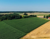 Działki na sprzedaż, powierzchnie od 626 do 813 m2 | Zdjęcie 6