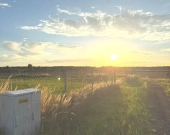 sprzedaż działka budowlana 1733 m2. Łubniany | Zdjęcie 5