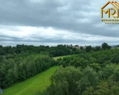 Działka leśna w gminie Ryglice | Zdjęcie 6