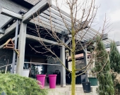 5pok, 250met, oś. Sienkiewicza PIWNICA/OGRÓD/GARAŻ (Legnica) | Zdjęcie 8