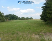 działka budowlana 73ar, Kłębanowice/Polkowice | Zdjęcie 4