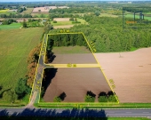 Duża działka budowlana z własnym lasem – 7012 m² | Zdjęcie 7