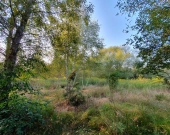 wz, lokalizacja, możliwość dokupienia działek obok | Zdjęcie 3