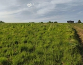 Lipnica Dolna-malownicze miejsce z potencjałem inwestycyjnym | Zdjęcie 6