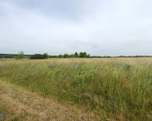 ⭐Twój dom w zielonej okolicy, nowe osiedle i droga | Zdjęcie 9