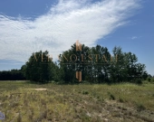 Działka rolna 3,5 ha | Dojazd asfaltowy | Zdjęcie 2