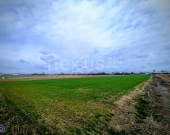 Wyjątkowa działka budowlana 976,56 m² – Świerzna | Zdjęcie 3