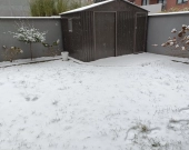 3pok 71met Okolice Magnolii 2 OGRODY/KOMÓRKA/GARAŻ (Wrocław) | Zdjęcie 13