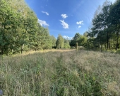 WZ | Media | Zalew w Suchedniowie | Kamionka | Dro | Zdjęcie 1