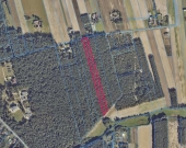 Las na sprzedaż - Koźlątków, gm. Lisków | Zdjęcie 1