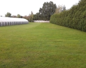 Działka Budowlana (9200 m2) okolice Białej MEDIA (Wrocław) | Zdjęcie 3