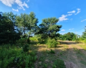 Krucza blisko Złotej, wz, lokalizacja, media | Zdjęcie 3