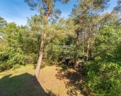 Duża działka ze starodrzewiem i domem w Józefowie | Zdjęcie 4