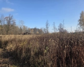 pod produkcję, magazyny lub usługi | Zdjęcie 5